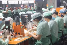 Da Nang draws 11 more investment projects in industrial, hi-tech parks
