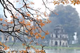 Hanoi prepares for reviving tourism activities