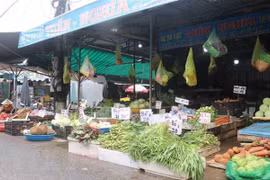 HCM City to reopen wet markets to ease pressure on supermarkets