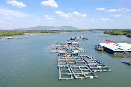 Ba Ria – Vung Tau protects its valuable marine resources 