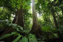 Australia supports Southeast Asian countries in climate change response 
