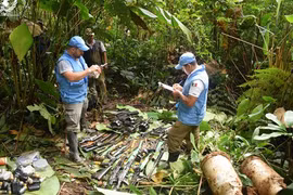 Vietnam calls for more assistance for Colombian Government