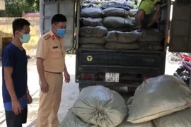 Illegal immigrants detected in Cao Bang, Long An provinces