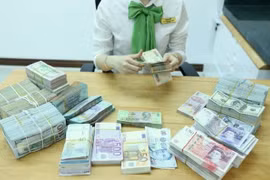 Reference exchange rate up 10 VND