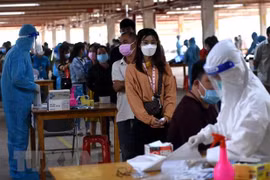 Dong Nai helps firms resume operations post-pandemic