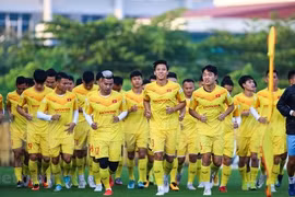 Vietnam's national team to gather in early August in preparation for World Cup qualifiers