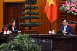 Prime Minister Pham Minh Chinh receives Australian Ambassador 