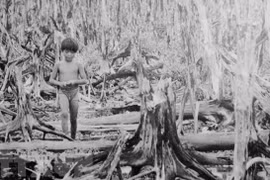 Impact of catastrophic Agent Orange disaster still lingers