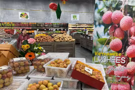 Vietnam’s farm produce exports to Australia surge