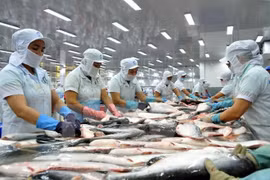 Brazil market offers big opportunities for Vietnamese tra fish 