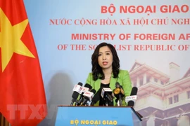 Vietnam resolutely protects sovereignty over Hoang Sa, Truong Sa archipelagoes