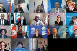 Vietnam chairs UNSC meeting on chemical weapons in Syria