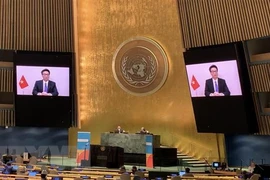  Faster actions needed to end HIV/AIDS in 2030: Deputy PM