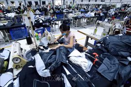 Vietnam removed from list of beneficiaries of EAEU tariff preferences under GSP