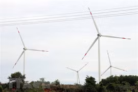 Vietnamese, German firms join hands in developing wind power projects