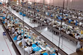 Trade cooperation – momentum of Vietnam-US ties