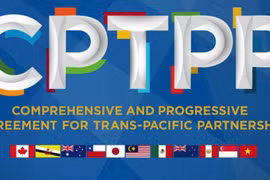 Vietnam ready to share information, experience in joining CPTPP: Spokeswoman