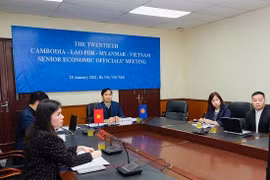 Vietnam makes proposal on building 2021-2022 CLMV Action Plan