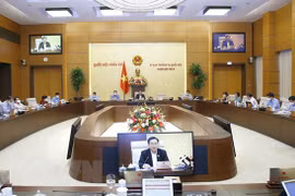 NA Standing Committee discusses 2021-2025 economic restructuring plan