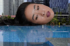 Vietnamese artworks on display at prestigious exhibition in Australia