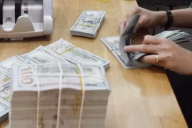 Reference exchange rate up 10 VND