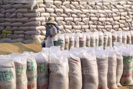 Sci-tech application to be promoted to ensure food security