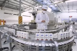  Vietnam’s overseas investment sees 2.3-fold rise in seven months: FIA
