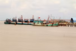 Ben Tre invests in building ports, storm shelters for fishing vessels