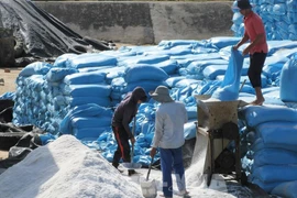 Vietnam salt company’s IPO surpasses plan