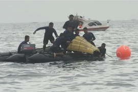 Indonesia sends components of crashed jet to US, UK for examination