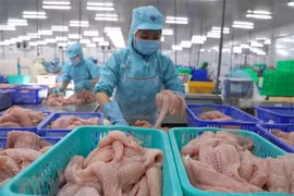Firms must try to take advantage of FTAs: experts