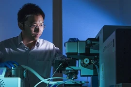 Vietnamese scientist in Australia honoured with science-technology prize