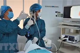Vietnam hailed by WHO for End TB efforts