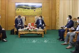 JICA delegation works in Yen Bai