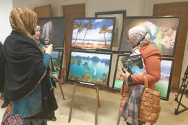 Vietnam Cultural Day hosted in Cairo