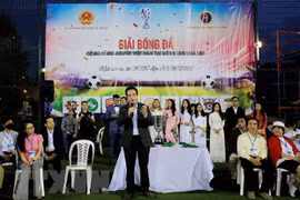 Oversea Vietnamese join hands with pandemic combat at home