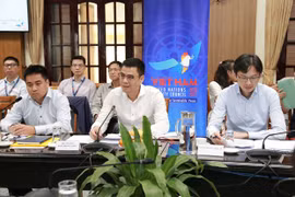 Working group sketches out next plans for Vietnam’s engagement in UNSC