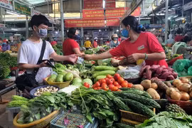 July retail sales plunges nearly 20 pct year-on-year due to COVID-19