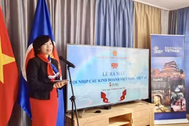 Switzerland-Vietnam business group debuts 