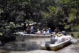 Ecotourism a boon for southeastern region post-pandemic