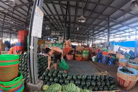 Wholesale markets see a drop in waste 