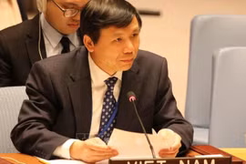 Vietnamese Ambassador to UN affirms importance of technology in peacekeeping