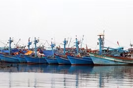 Kien Giang works hard to combat IUU fishing