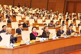 More effort needed to renovate National Assembly's operations: Top legislator