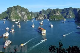 Deputy PM asks tourism sector to take firm steps to reopen