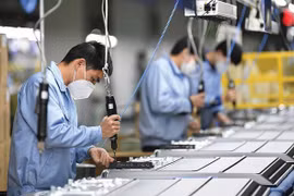 Resolution 105 helps bring foreign experts back to Vietnam
