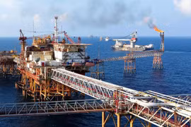 Fitch Ratings ranks PetroVietnam's Standalone Credit Profile at 'BB+'