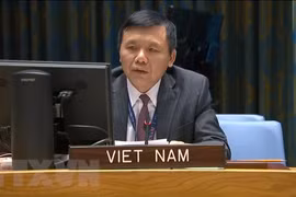 Vietnam calls on Mali to increase national conciliation, implement transition roadmap