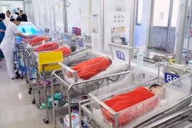Vietnam to enter “elderly population structure” in 2026: study
