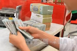 Reference exchange rate down 15 VND